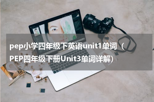 pep小学四年级下英语unit1单词（PEP四年级下册Unit3单词详解）