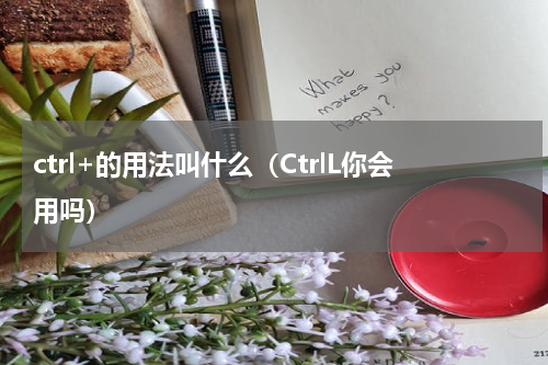ctrl+的用法叫什么（CtrlL你会用吗）