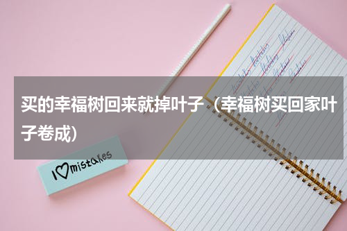 买的幸福树回来就掉叶子（幸福树买回家叶子卷成）