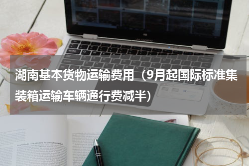 湖南基本货物运输费用（9月起国际标准集装箱运输车辆通行费减半）