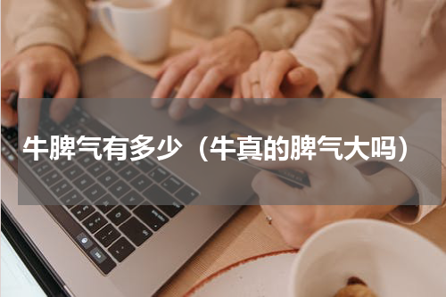 牛脾气有多少（牛真的脾气大吗）