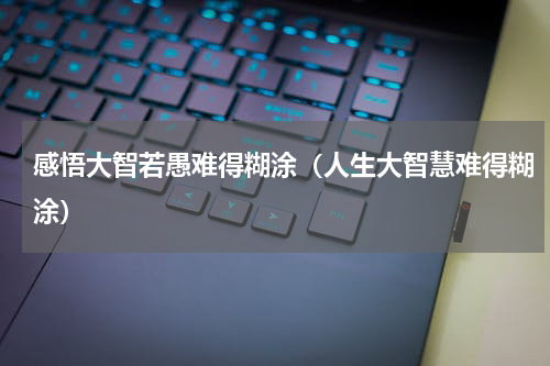 感悟大智若愚难得糊涂（人生大智慧难得糊涂）
