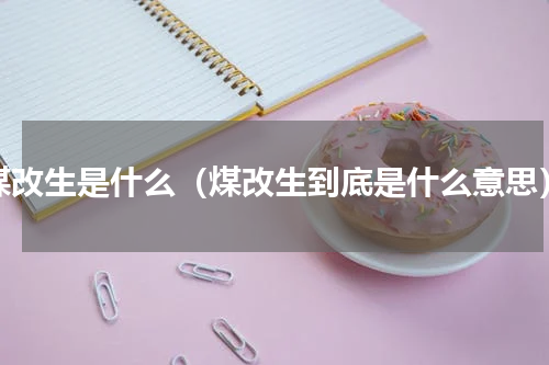 煤改生是什么（煤改生到底是什么意思）