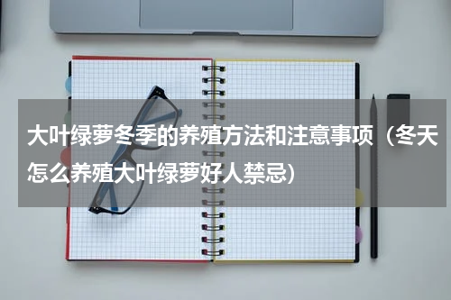 大叶绿萝冬季的养殖方法和注意事项（冬天怎么养殖大叶绿萝好人禁忌）