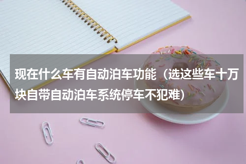 现在什么车有自动泊车功能（选这些车十万块自带自动泊车系统停车不犯难）