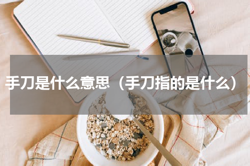 手刀是什么意思（手刀指的是什么）