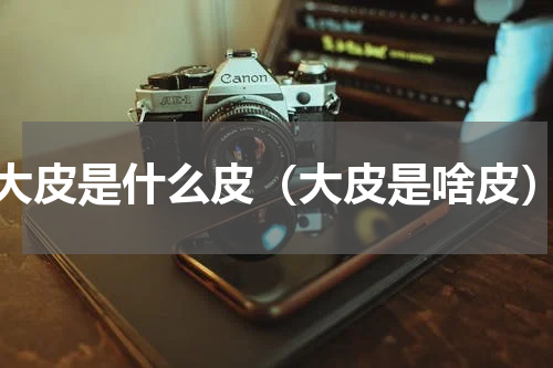 大皮是什么皮（大皮是啥皮）