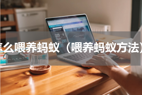 怎么喂养蚂蚁（喂养蚂蚁方法）