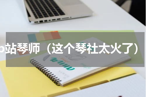 b站琴师（这个琴社太火了）