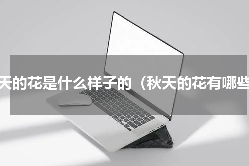 秋天的花是什么样子的（秋天的花有哪些）
