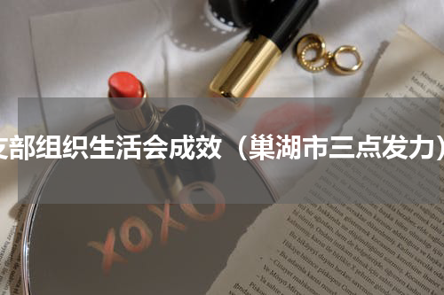 支部组织生活会成效（巢湖市三点发力）
