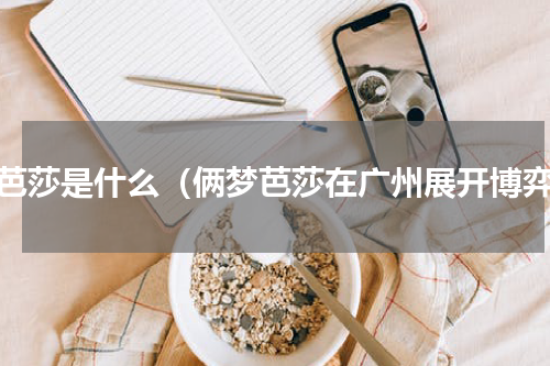 梦芭莎是什么（俩梦芭莎在广州展开博弈）