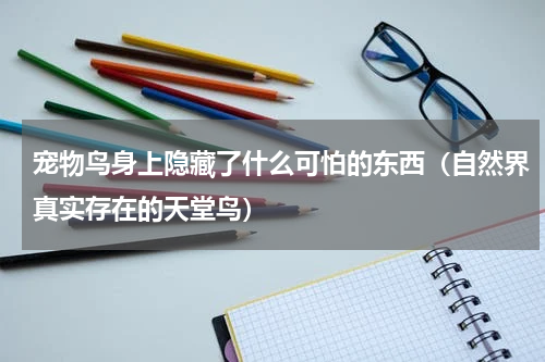 宠物鸟身上隐藏了什么可怕的东西（自然界真实存在的天堂鸟）