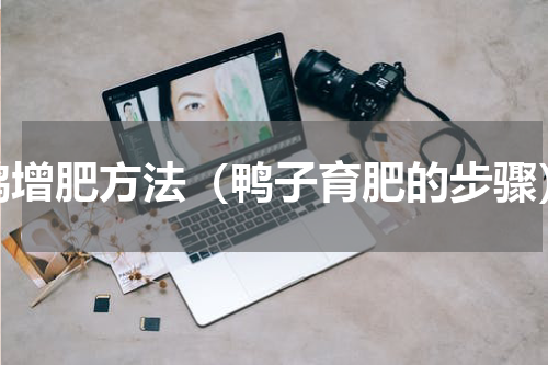 鸭增肥方法（鸭子育肥的步骤）