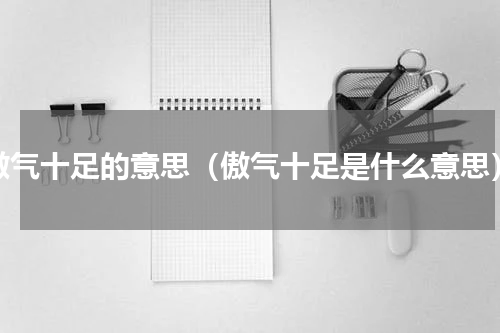 傲气十足的意思（傲气十足是什么意思）