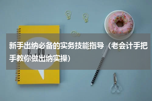 新手出纳必备的实务技能指导（老会计手把手教你做出纳实操）