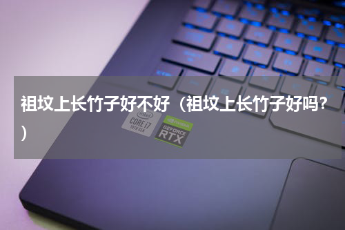 祖坟上长竹子好不好（祖坟上长竹子好吗？）