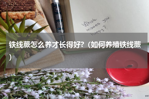 铁线蕨怎么养才长得好?（如何养殖铁线蕨）