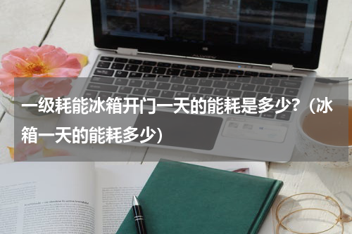 一级耗能冰箱开门一天的能耗是多少?（冰箱一天的能耗多少）