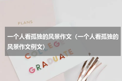 一个人看孤独的风景作文（一个人看孤独的风景作文例文）