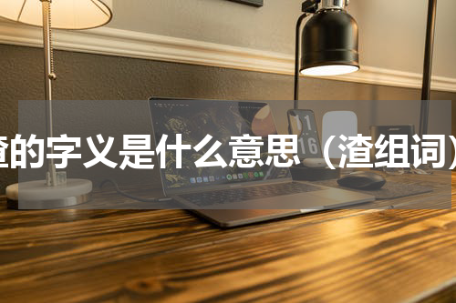 渣的字义是什么意思（渣组词）