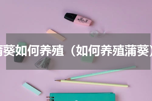 蒲葵如何养殖（如何养殖蒲葵）