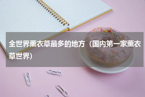 全世界薰衣草最多的地方（国内第一家薰衣草世界）