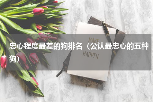 忠心程度最差的狗排名（公认最忠心的五种狗）