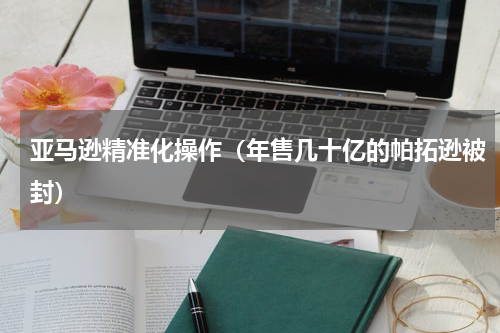亚马逊精准化操作（年售几十亿的帕拓逊被封）