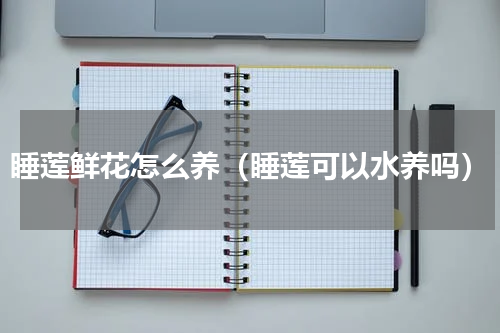 睡莲鲜花怎么养（睡莲可以水养吗）