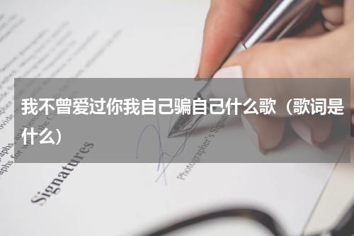 我不曾爱过你我自己骗自己什么歌（歌词是什么）