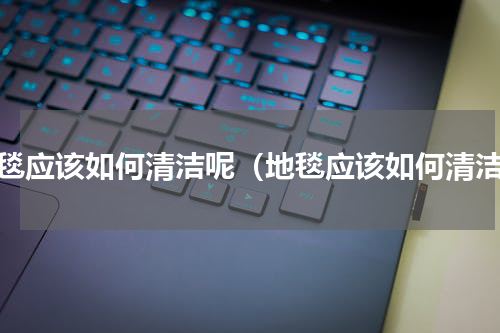 地毯应该如何清洁呢（地毯应该如何清洁）