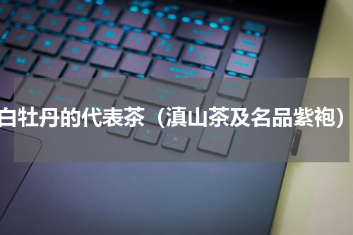 白牡丹的代表茶（滇山茶及名品紫袍）