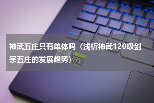 神武五庄只有单体吗（浅析神武120级剑宗五庄的发展趋势）