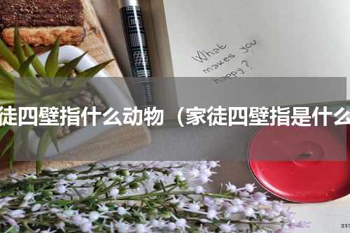 家徒四壁指什么动物（家徒四壁指是什么）