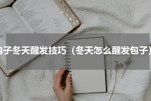 包子冬天醒发技巧（冬天怎么醒发包子）