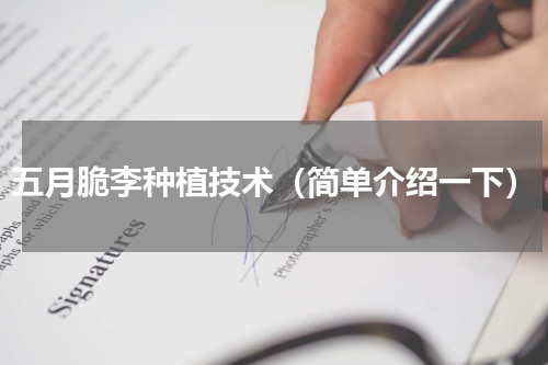五月脆李种植技术（简单介绍一下）