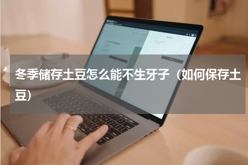 冬季储存土豆怎么能不生牙子（如何保存土豆）