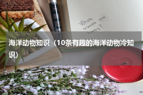 海洋动物知识（10条有趣的海洋动物冷知识）