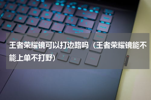 王者荣耀镜可以打边路吗（王者荣耀镜能不能上单不打野）