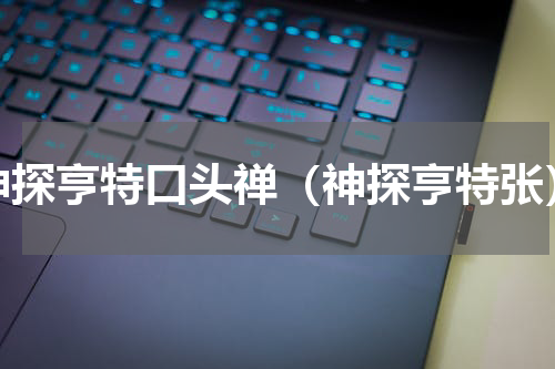 神探亨特口头禅（神探亨特张）