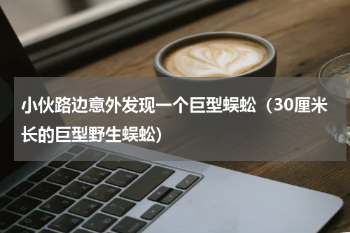 小伙路边意外发现一个巨型蜈蚣（30厘米长的巨型野生蜈蚣）