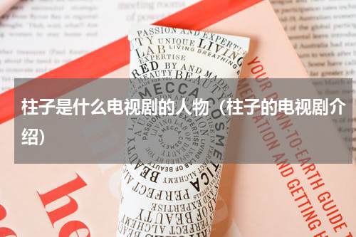 柱子是什么电视剧的人物（柱子的电视剧介绍）