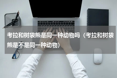 考拉和树袋熊是同一种动物吗（考拉和树袋熊是不是同一种动物）