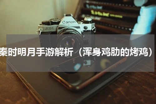 秦时明月手游解析（浑身鸡肋的烤鸡）