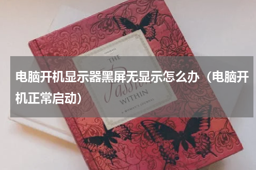 电脑开机显示器黑屏无显示怎么办（电脑开机正常启动）