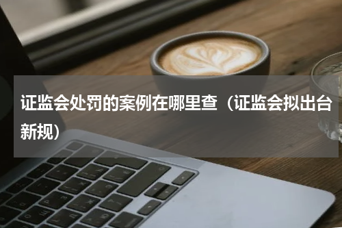 证监会处罚的案例在哪里查（证监会拟出台新规）