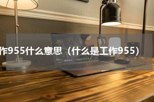 工作955什么意思（什么是工作955）