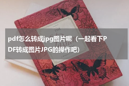 pdf怎么转成jpg图片呢（一起看下PDF转成图片JPG的操作吧）