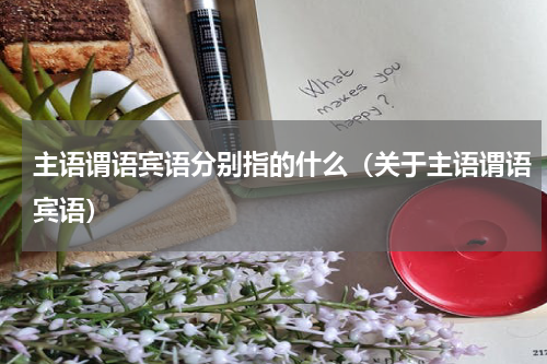 主语谓语宾语分别指的什么（关于主语谓语宾语）